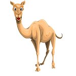 Avatar for Camel