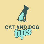 Avatar for CatAndDogTips