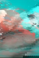 Avatar for CloudWM