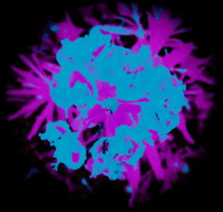 255785d1e0a8bc71173a6b936cafd0c1.gif