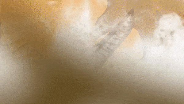 1b02ec65c513910f1062ccb49fa8d460.gif