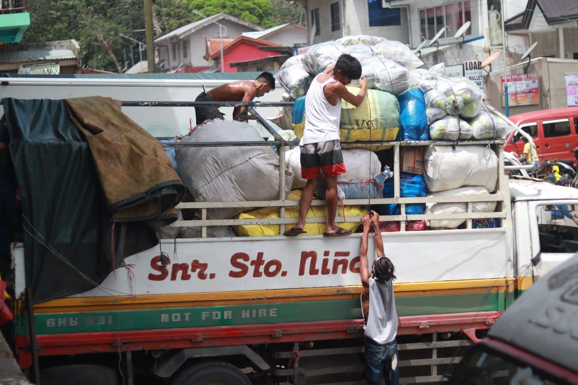 Excess of cabbages :Let's help the farmers
