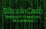 Avatar for GlobalBitcoin.Cash