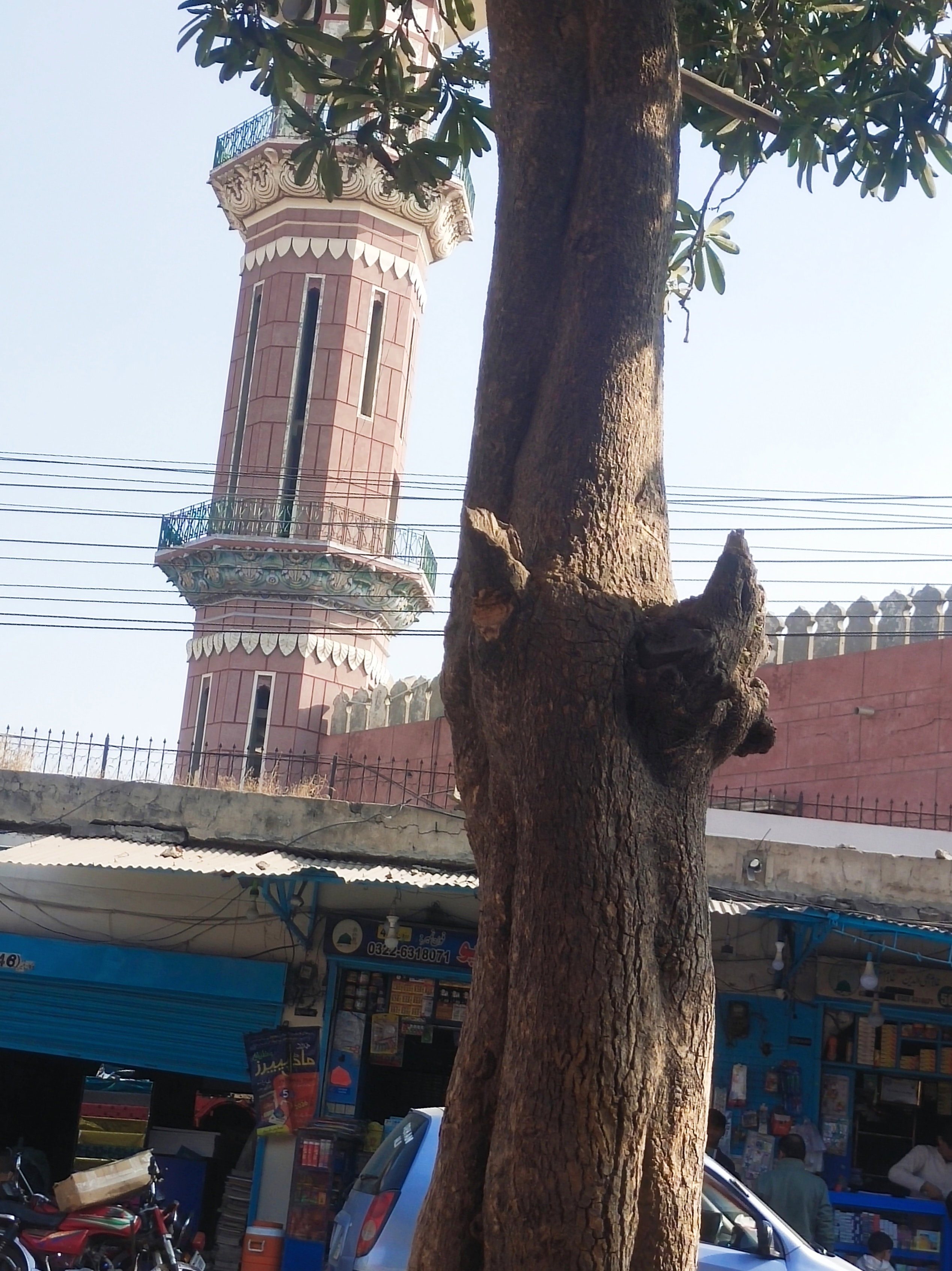 photo.jpg