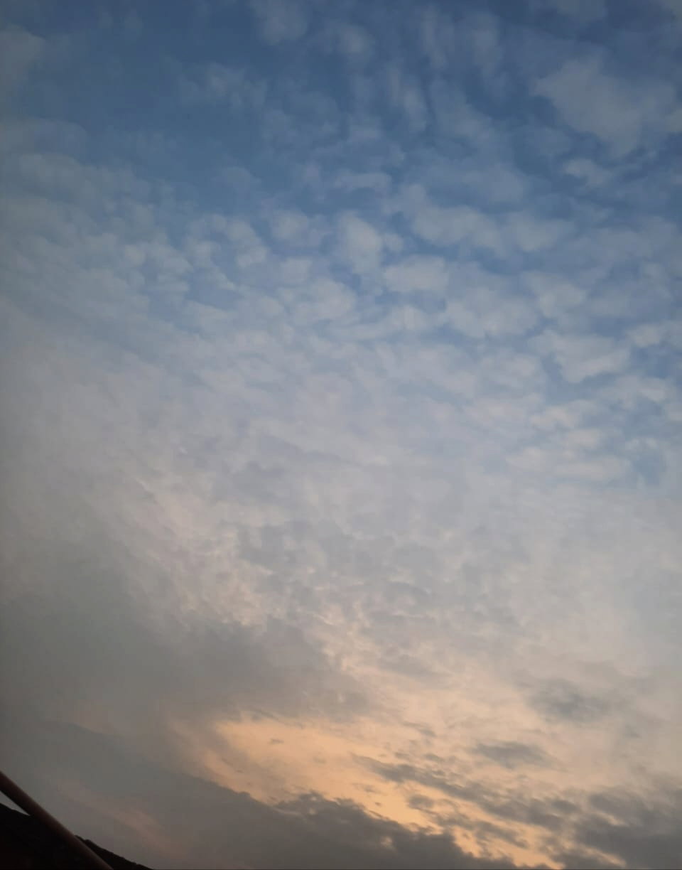 photo.jpg