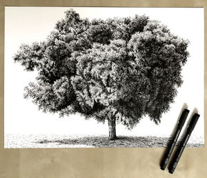 The Meaning Of The Tree Drawing Test And Tricks To Successfully Pass The  Test