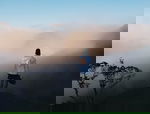 Avatar for Olawale4967