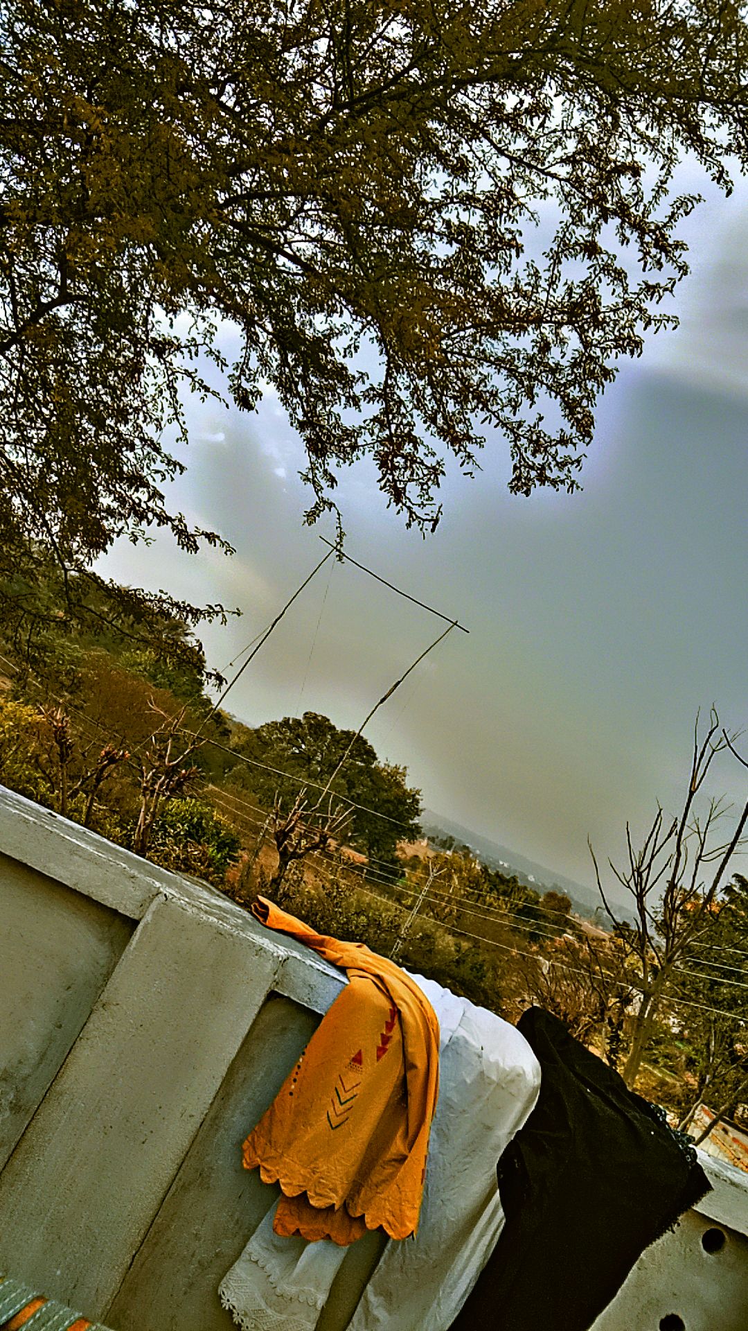 photo.jpg