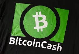 Bitcoin cash что это такое простыми словами как называется кошелек биткоин