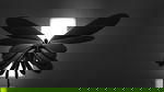 Avatar for TikurCrypto
