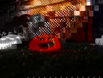 Avatar for ZhacK