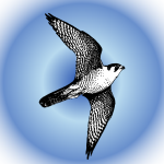 Avatar for falcon-node