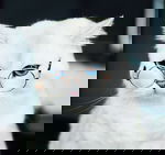 Avatar for foryoubtc09