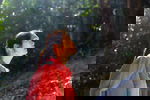 Avatar for harmonicdrive