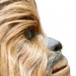 Avatar for lowededwookie