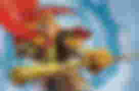 Monkey King Sun Wukong Myth Monkey King Sun Wukong Myth