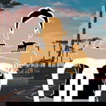 Avatar for sijey07