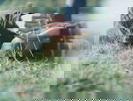 Avatar for tariqul1991
