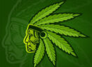 Avatar for theexoticweed
