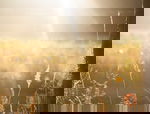 Avatar for wakeuplincs